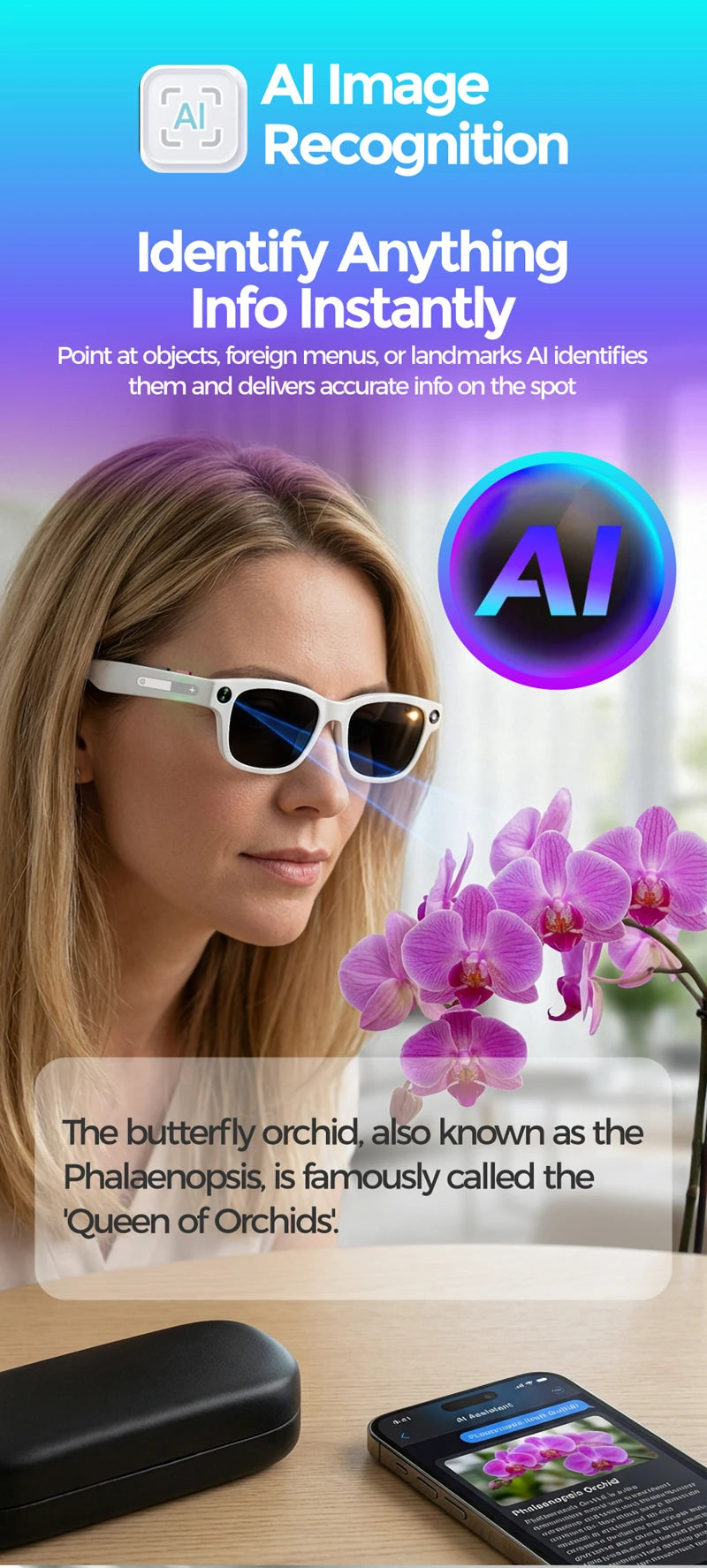 AI Vision Smart Sun Glasses - Translation Ready With 8MP Camera 4K Video Bluetooth Calls by Tech-Home Store